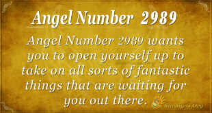 Angel Number 2989
