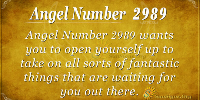 Angel Number 2989