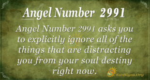 Angel Number 2991