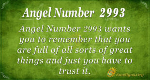 Angel Number 2993
