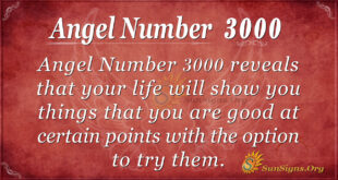Angel Number 3000