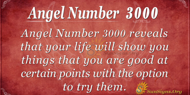 Angel Number 3000