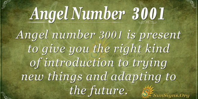 Angel Number3001