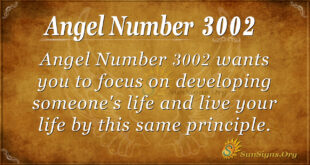 Angel number 3002