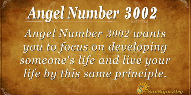 Angel number 3002