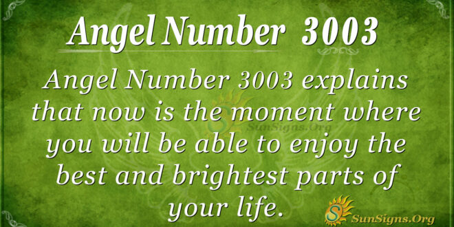 Angel Number 3003