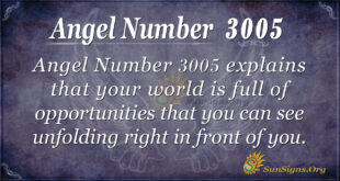 Angel Number3005