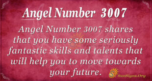 Angel Number 3007