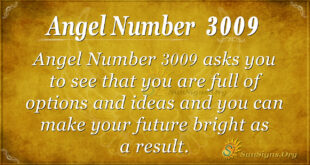 Angel Number 3009