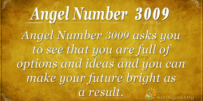 Angel Number 3009