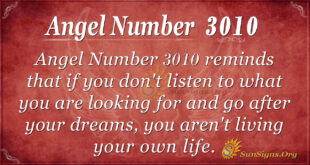 Angel Number 3010