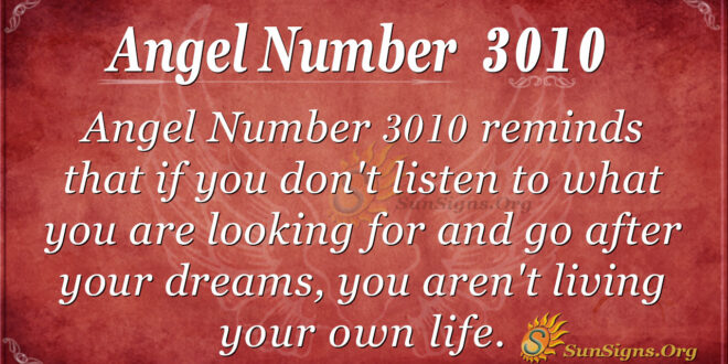 Angel Number 3010