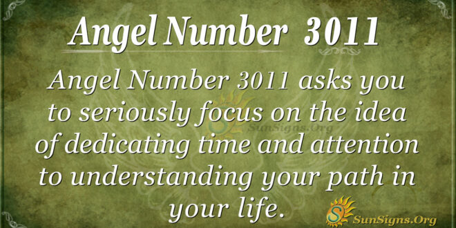 Angel Number 3011