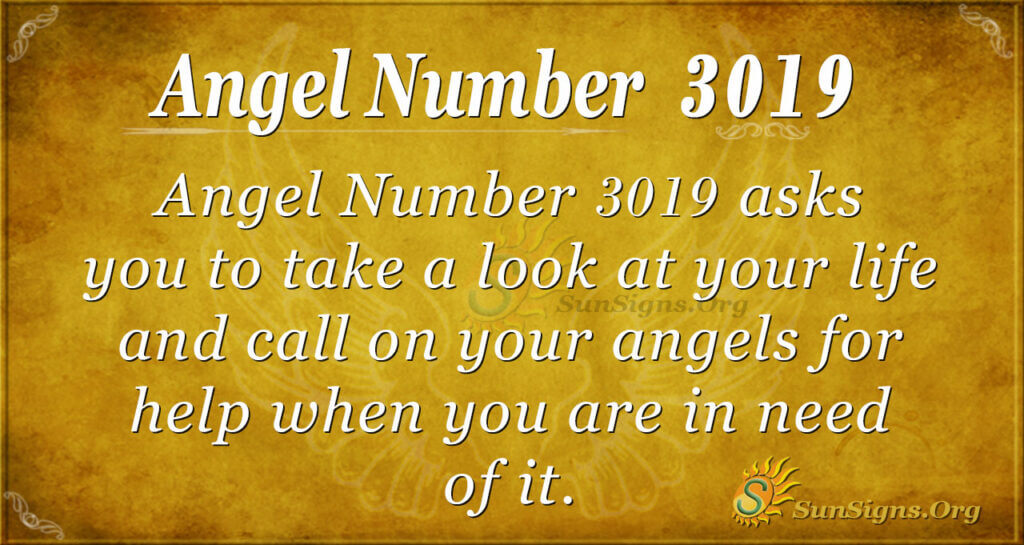Angel number 3019
