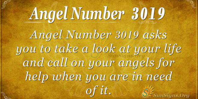 Angel number 3019