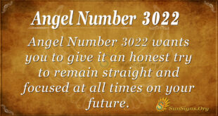 Angel number 3022