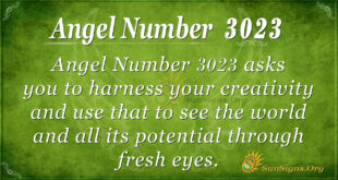 Angel Number 3023