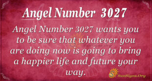 Angel Number 3027