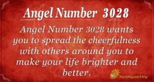 Angel Number 3028