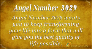 Angel Number 3029