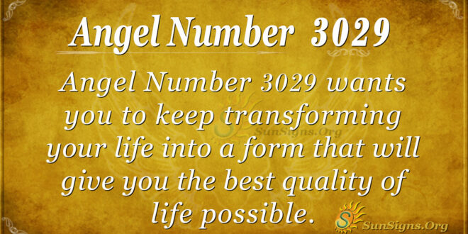 Angel Number 3029