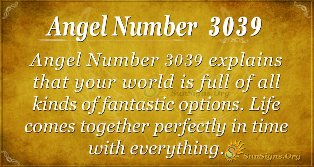 Angel Number 3039