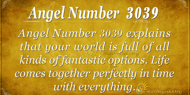 Angel Number 3039