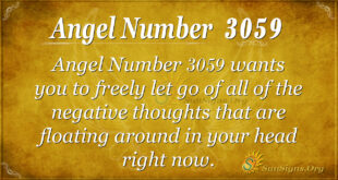 Angel Number 3059