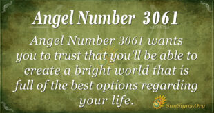 Angel Number 3061