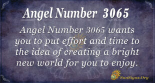 Angel Number 3065