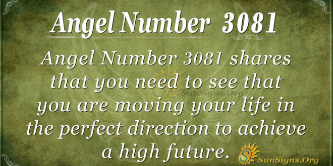 Angel Number 3081