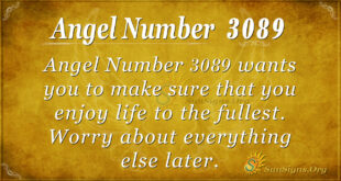 Angel Number 3089