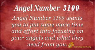 Angel Number 3100