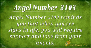 Angel number 3103