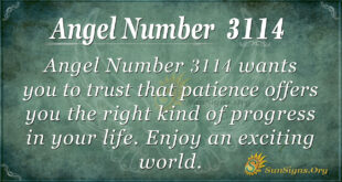 Angel Number 3114