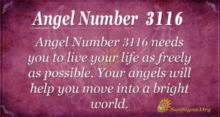 Angel Number 3116