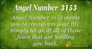 Angel Number 3153