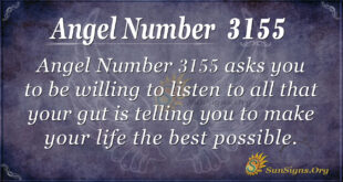 Angel Number 3155
