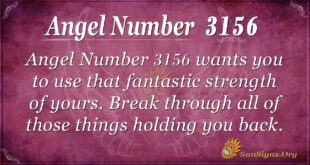 Angel Number 3156