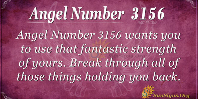 Angel Number 3156