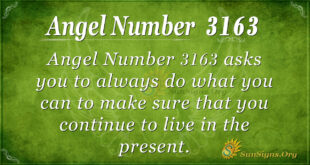 Angel Number 3163