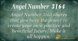 Angel Number 3164