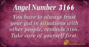 Angel Number 3166