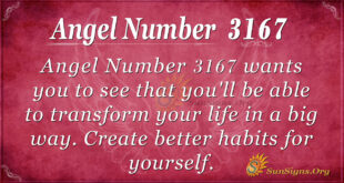 Angel Number 3167