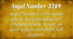 Angel Number 3209