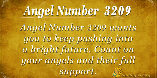 Angel Number 3209