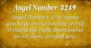 Angel Number 3249
