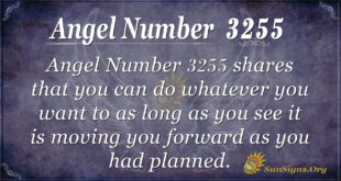 Angel Number 3255