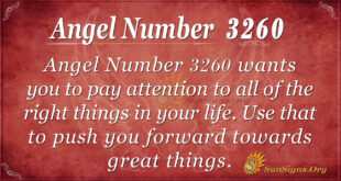 Angel Number 3260