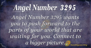 Angel Number 3295